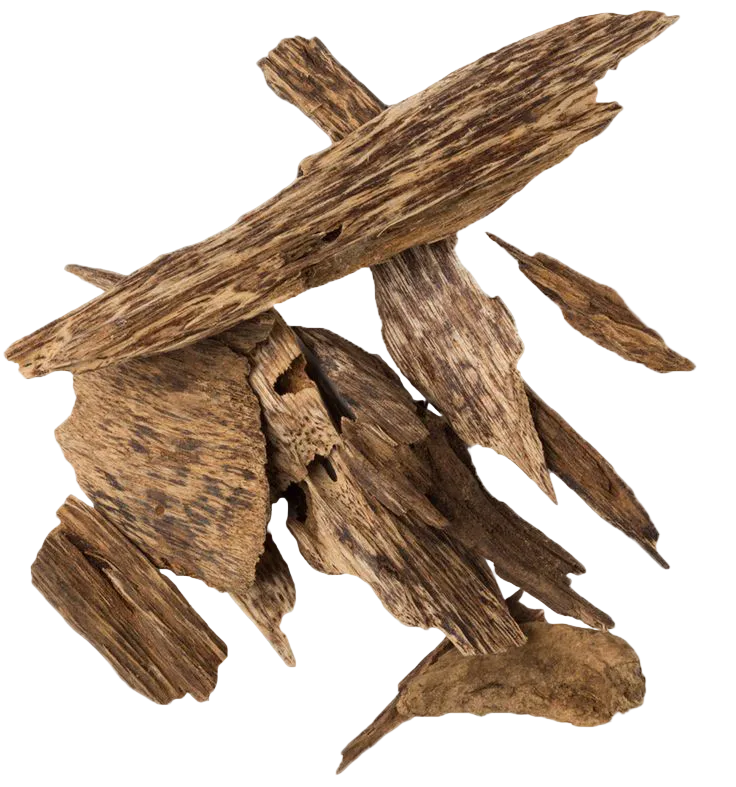 Assaf Wild Colt EDP 200ml