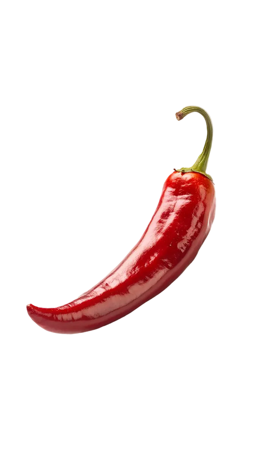 Hermés Terre d’Hermés EDT 100ml