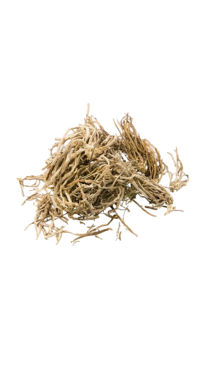 Carolina Herrera Bad Boy Cobalt Parfum Electrique EDP Gift Set