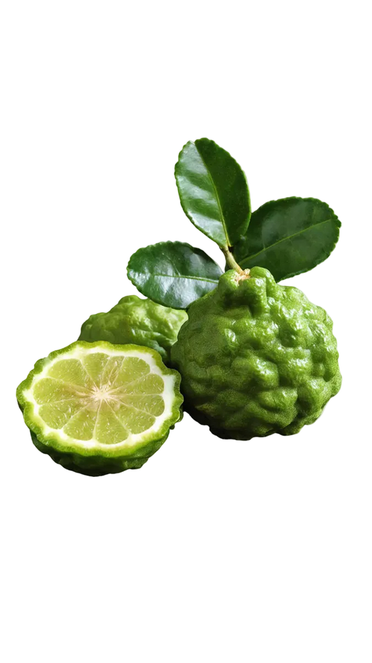 Guess Seductive Noir EDT Gift Set