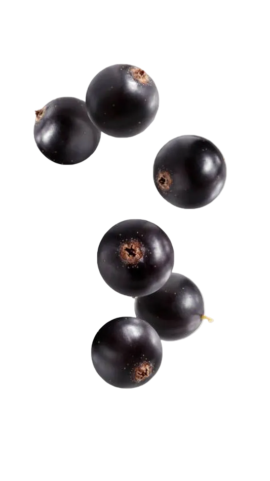 Creed Aventus EDP 100ml