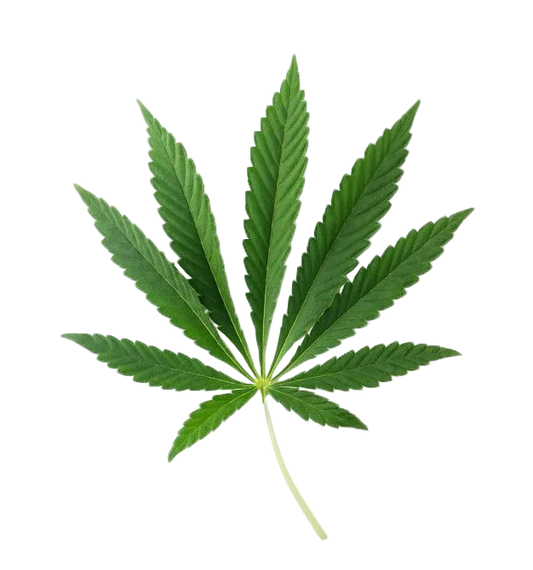 Nasomatto Black Afgano Extrait de Parfume 30ml