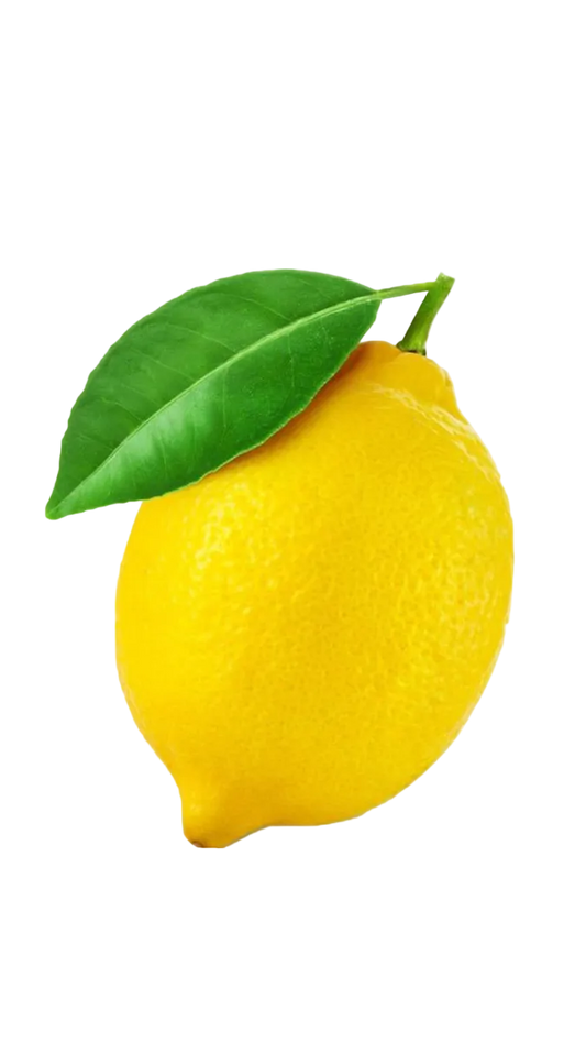 Chanel Bleu de Chanel Parfum 100ml