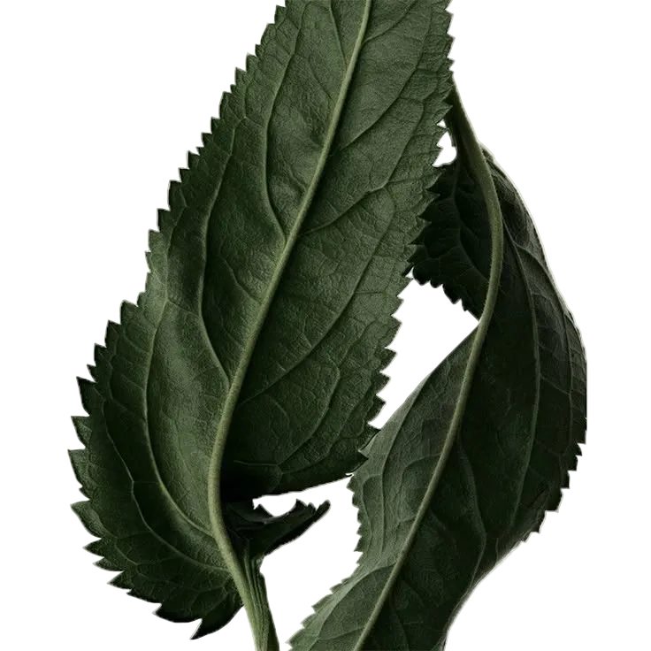 Yves Saint Laurent MYSLF EDP 10ml