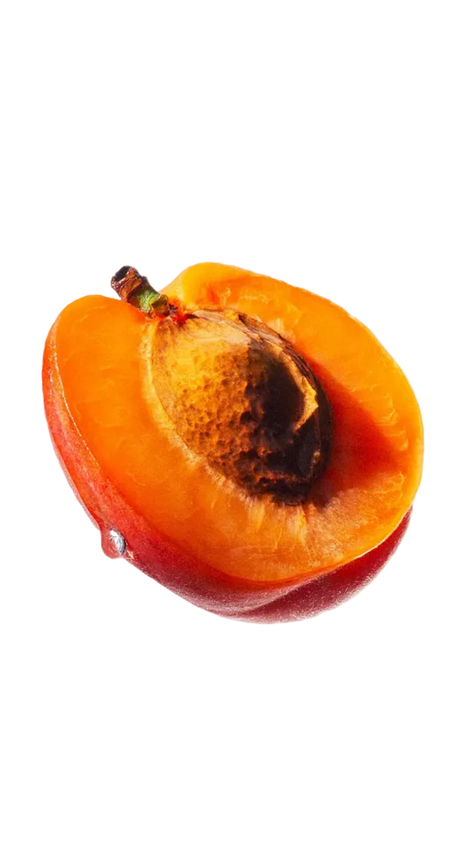 Tiziana Terenzi Kirkè EDP 100ml