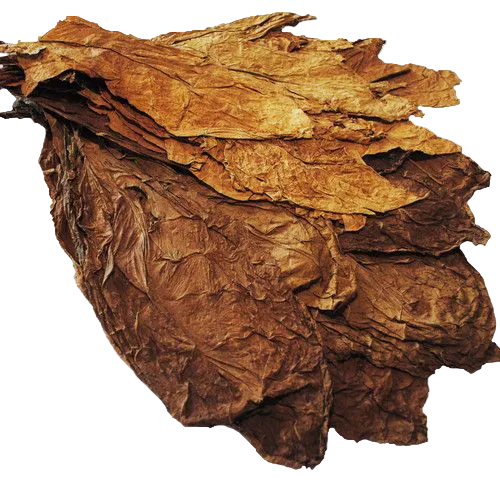 Bvlgari Man in Black EDP 100ml