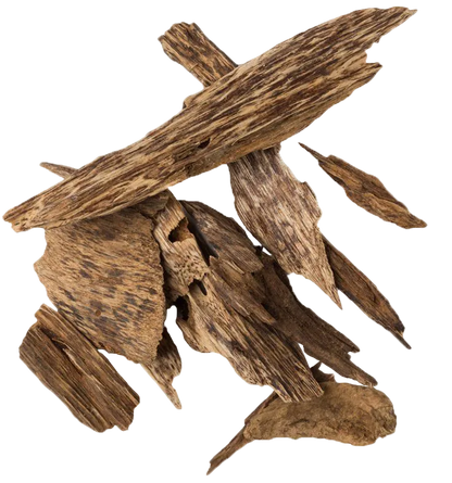 Assaf Wild Colt EDP 200ml