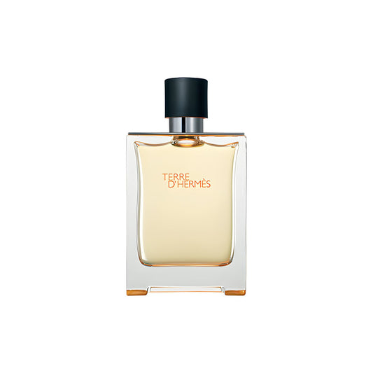 Hermés Terre d’Hermés EDT 100ml
