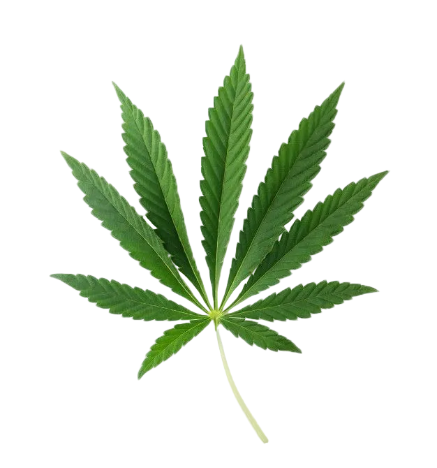 Nasomatto Black Afgano Extrait de Parfume 30ml