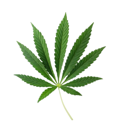 Nasomatto Black Afgano Extrait de Parfume 30ml