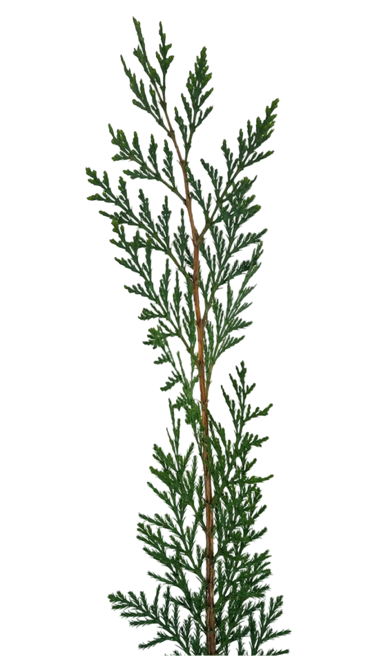 Carolina Herrera Bad Boy EDP Gift Set