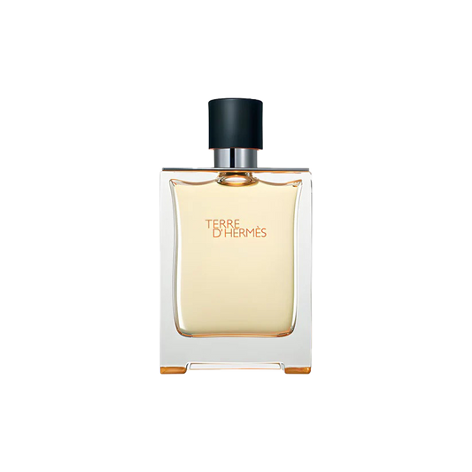 Hermés Terre d’Hermés EDT 100ml