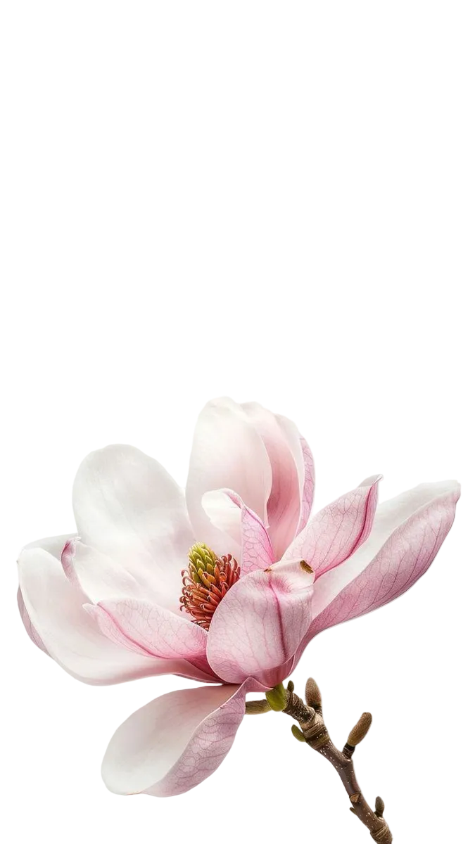 Guess Bella Vita Rosa EDT Gift Set