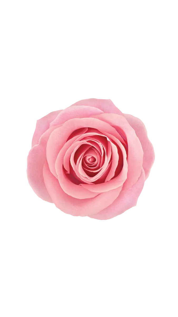 Lancôme Idôle EDP 25ml