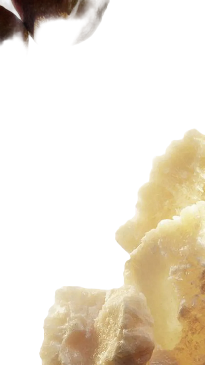 Yves Saint Laurent Libre EDP 30ml