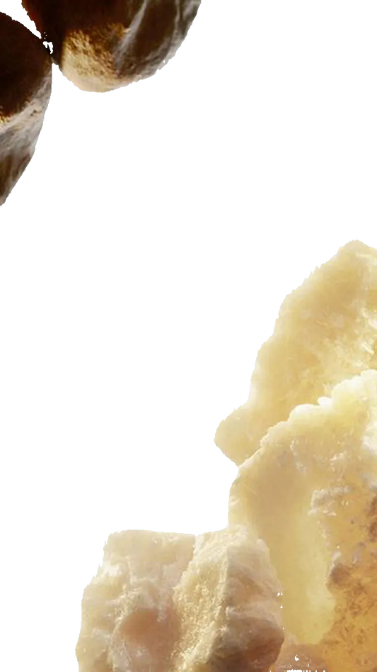 Ibraheem AlQurashi Special Musk EDP 75ml