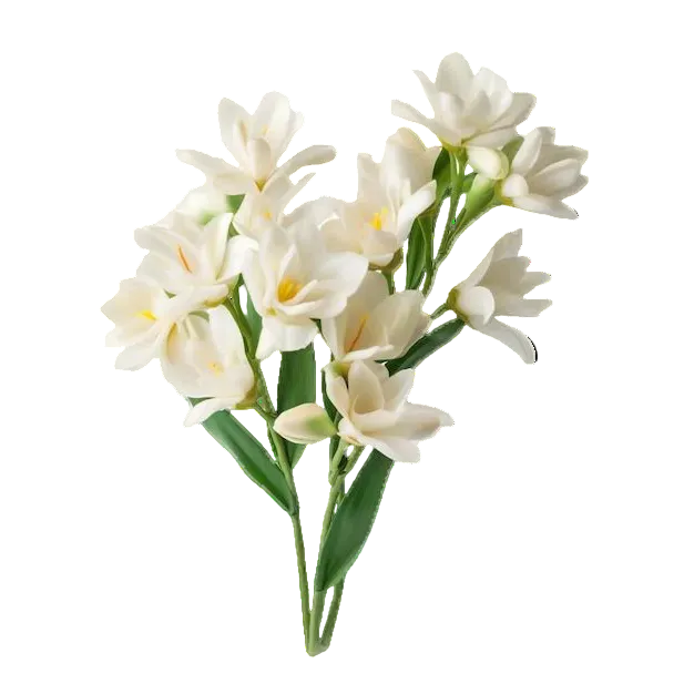 Carolina Herrera Good Girl EDP Gift Set